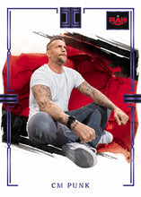 Load image into Gallery viewer, 2023 Panini Impeccable WWE Hobby Box
